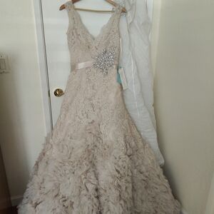 Allure Bridals Champagne Lace Gown with Silver Details